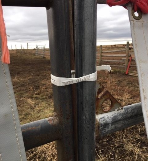 Rapid Rope on the Range in Pocatello, ID